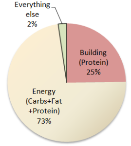 MacroNutrients