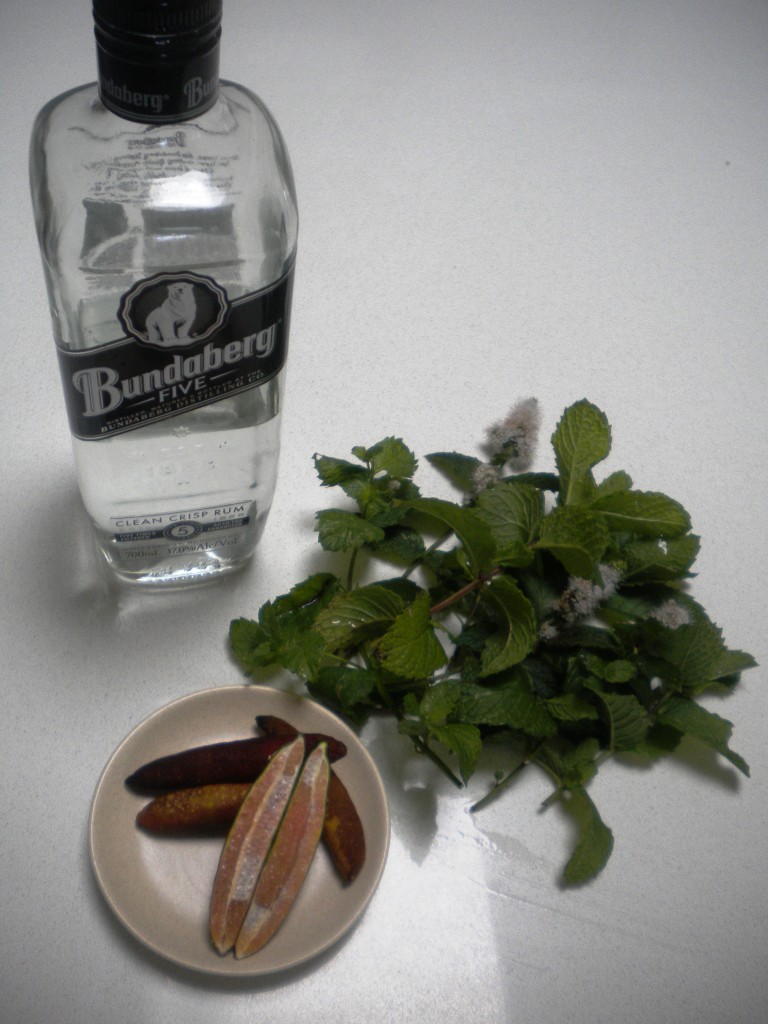 Mojito Ingredients