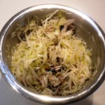 Fennel bulb salad